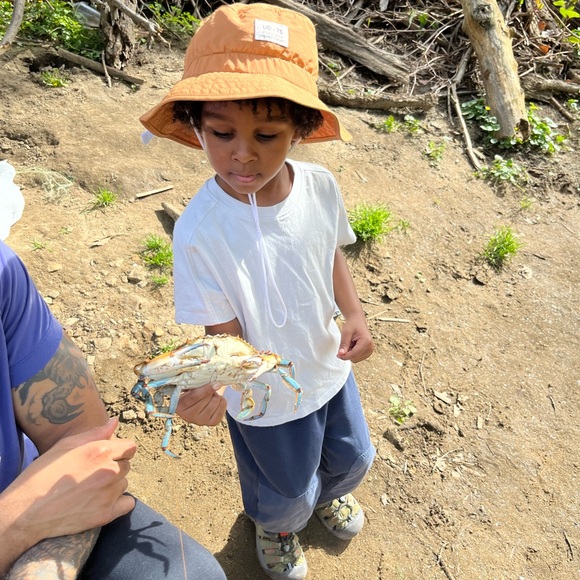 Meet your posher, Nakia - Picture 10 of 11